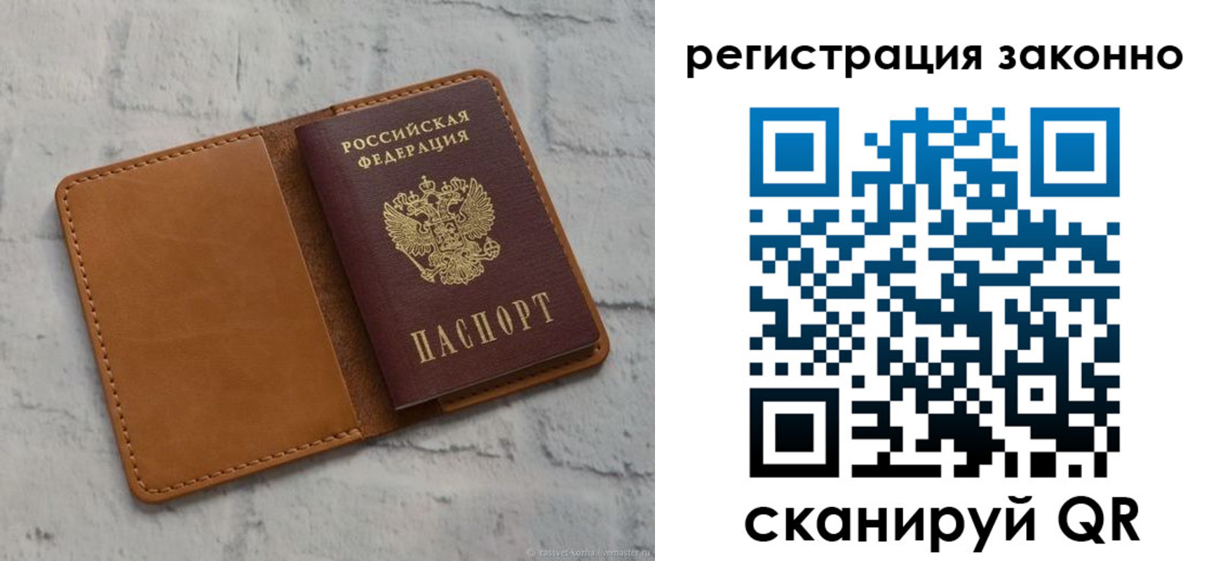 где прописаться в Волгоградской области